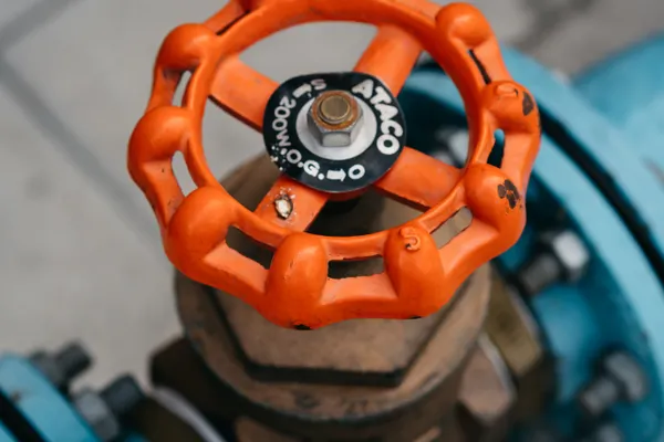 Backflow Valve Maintenance in Old Appleton, MO