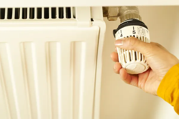 Tankless Water Heater Repair in Alba, MO