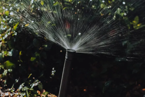 Sprinkler Valve Repair in Brandywine, MD
