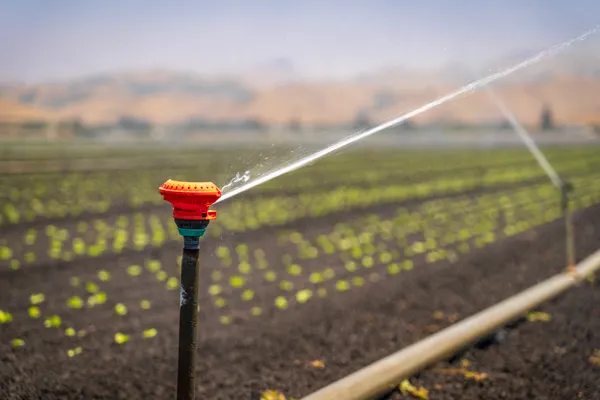 Sprinkler Head Repair & Replacement in Brandywine, MD