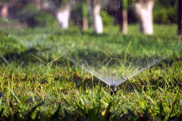 Irrigation Line Repair in Brandywine, MD