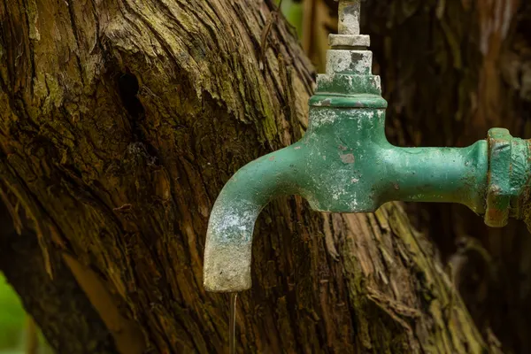 Commercial Faucet Repair in Harbert, MI
