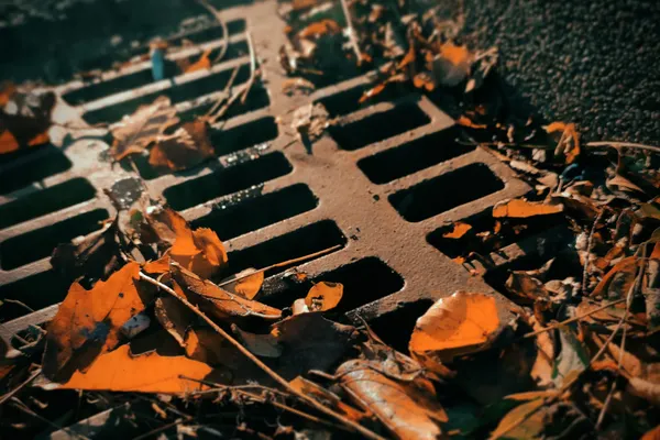 Septic System Maintenance in Georgetown, DE