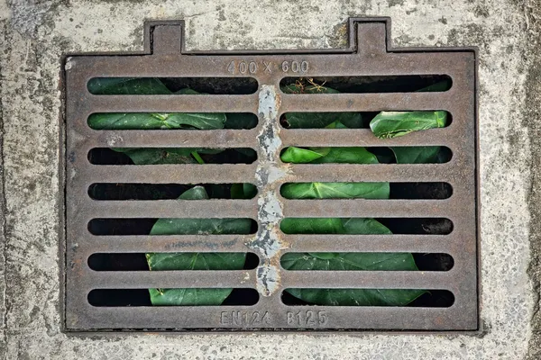 Main Drain Cleaning in Biggs, CA