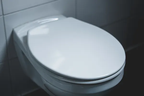 Running Toilet Repair in Conehatta, MS