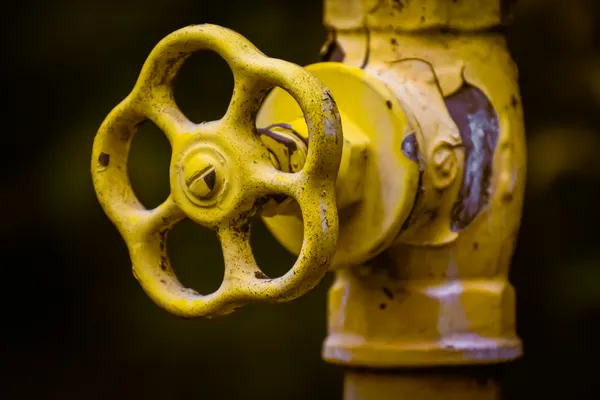 Backflow Preventer Installation in Old Appleton, MO