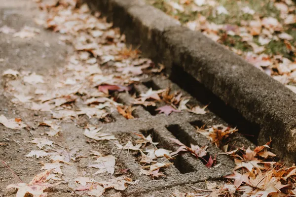 Drain Pipe Repair in Biggs, CA