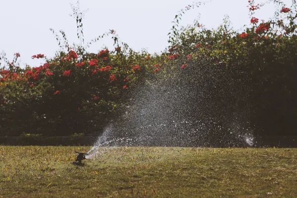 Drip Irrigation Installation in Brandywine, MD
